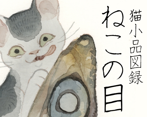 「ねこの目」猫小品図録