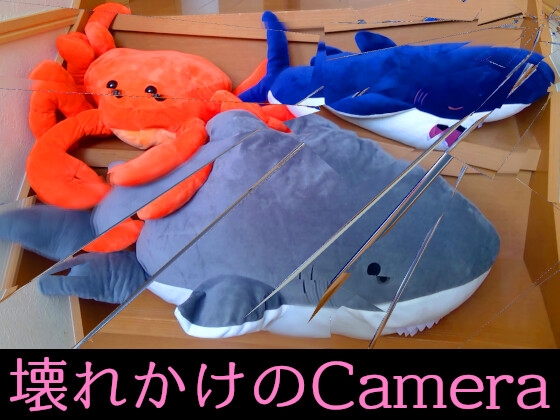 壊れかけのCamera