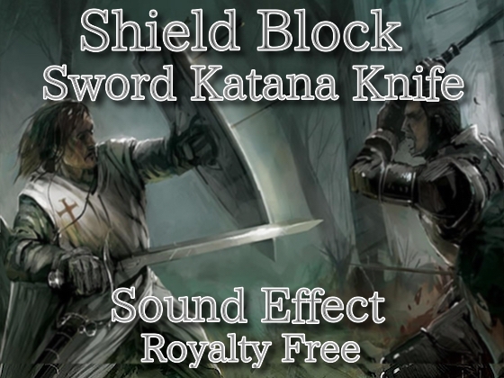 剣 刀 盾受け 効果音03 / 高音 大楯 来い...！